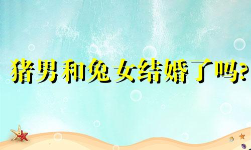 猪男和兔女结婚了吗?