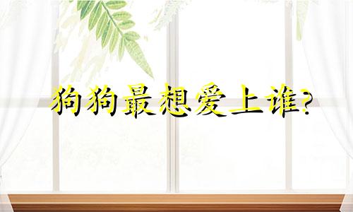 狗狗最想爱上谁?