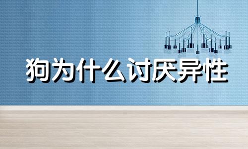 狗为什么讨厌异性