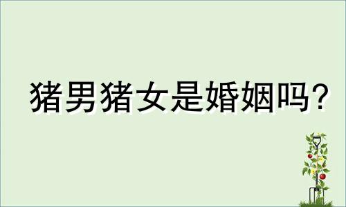 猪男猪女是婚姻吗?