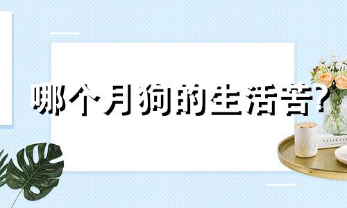 哪个月狗的生活苦?