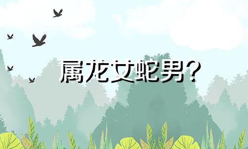 属龙女蛇男?