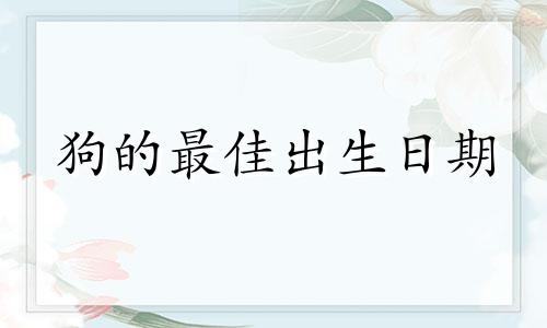 狗的最佳出生日期
