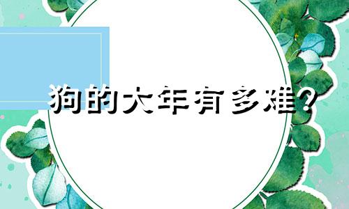 狗的大年有多难?