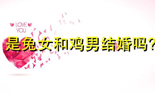 是兔女和鸡男结婚吗?