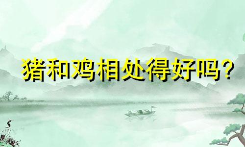 猪和鸡相处得好吗?