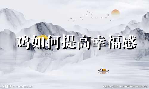 鸡如何提高幸福感