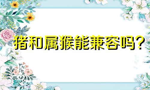 猪和属猴能兼容吗?