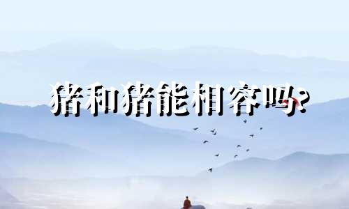 猪和猪能相容吗?