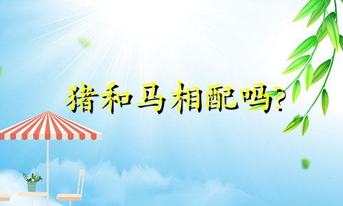 猪和马相配吗?