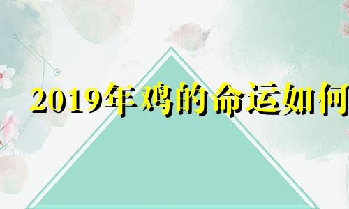 2019年鸡的命运如何
