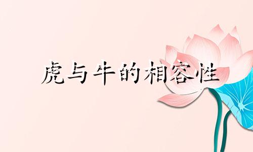 虎与牛的相容性