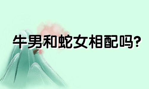 牛男和蛇女相配吗?