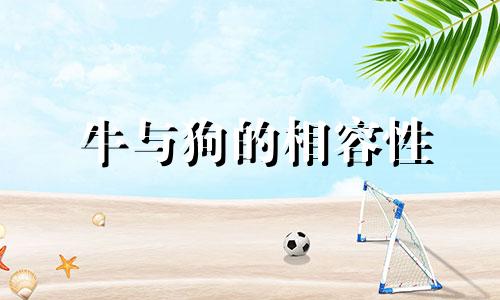 牛与狗的相容性