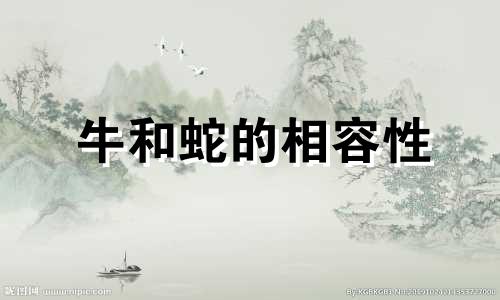 牛和蛇的相容性