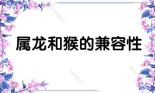 属龙和猴的兼容性