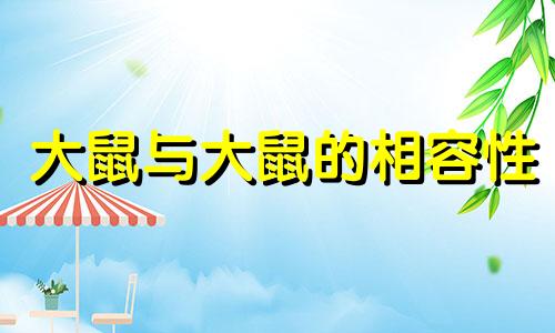 大鼠与大鼠的相容性