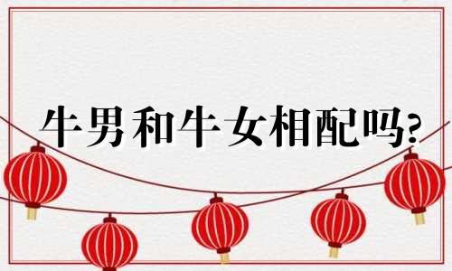 牛男和牛女相配吗?