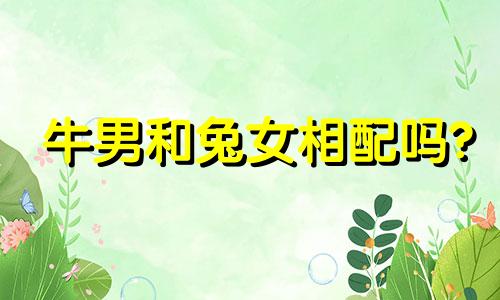牛男和兔女相配吗?