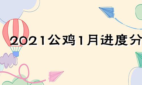 2021公鸡1月进度分析