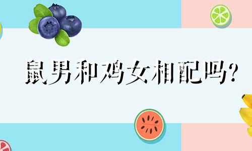 鼠男和鸡女相配吗?