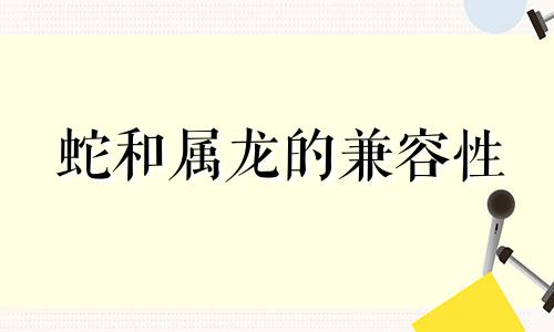 蛇和属龙的兼容性