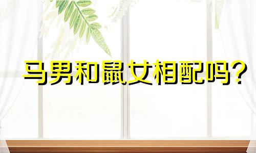 马男和鼠女相配吗?