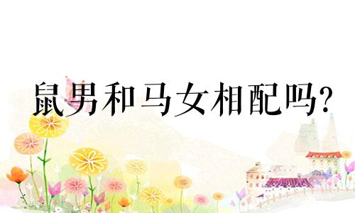 鼠男和马女相配吗?