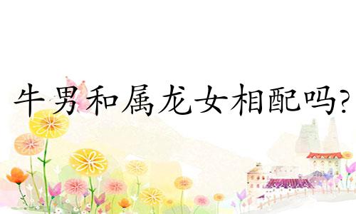 牛男和属龙女相配吗?