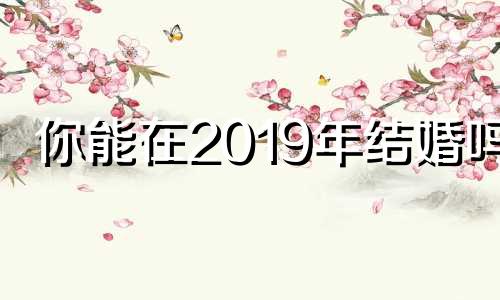 你能在2019年结婚吗?