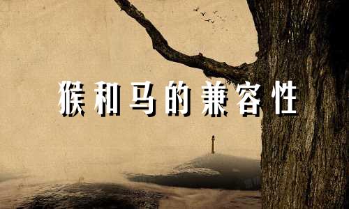 猴和马的兼容性