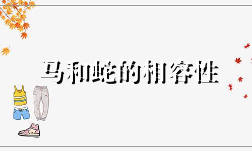 马和蛇的相容性