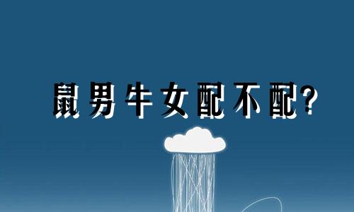 鼠男牛女配不配?