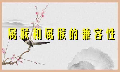 属猴和属猴的兼容性