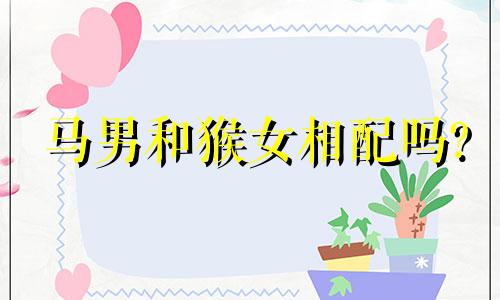 马男和猴女相配吗?