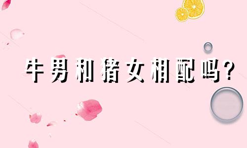 牛男和猪女相配吗?