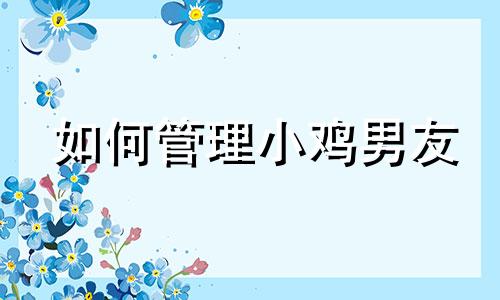 如何管理小鸡男友