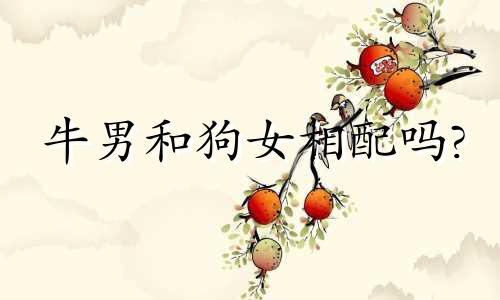 牛男和狗女相配吗?