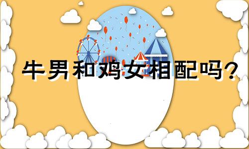 牛男和鸡女相配吗?