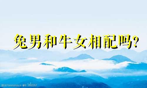 兔男和牛女相配吗?