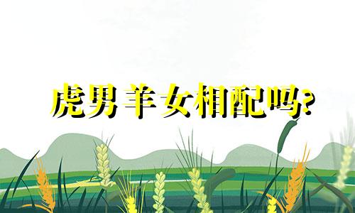 虎男羊女相配吗?