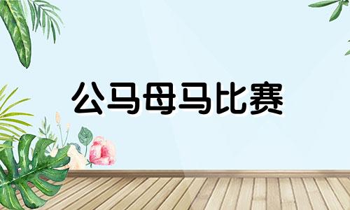 公马母马比赛