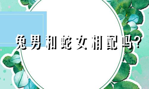 兔男和蛇女相配吗?