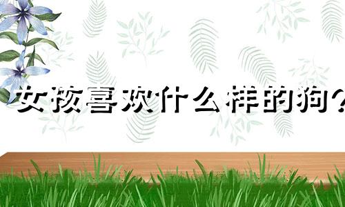 女孩喜欢什么样的狗? 