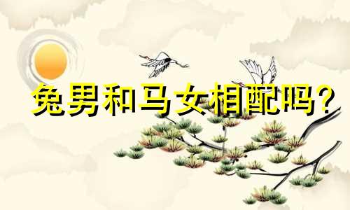 兔男和马女相配吗?