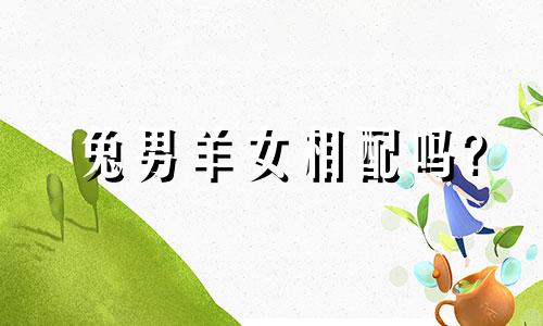 兔男羊女相配吗?