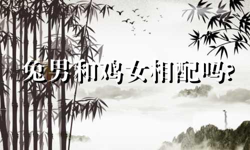 兔男和鸡女相配吗?