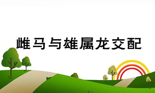 雌马与雄属龙交配