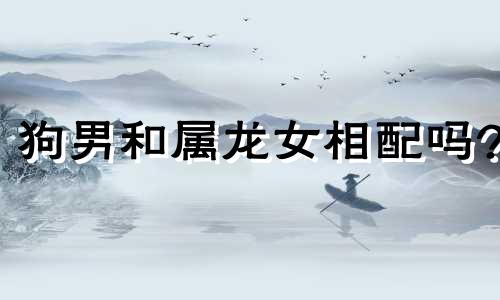 狗男和属龙女相配吗?