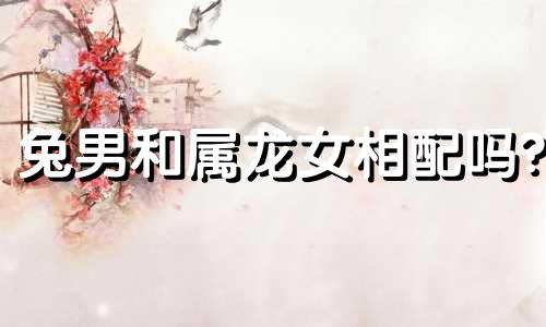 兔男和属龙女相配吗?